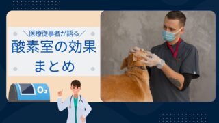 【失敗したくない人必見】医療従事者が選ぶ No.1ペット酸素室レンタルと効果