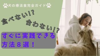【犬の療法食を成功させる完全ガイド】食べない・合わない・正しい切り替え方まで