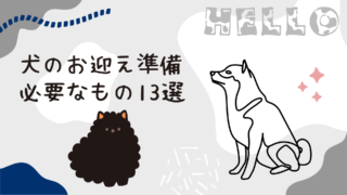 【永久保存版】犬を迎える前に用意するもの13選｜すぐ必要じゃない・追加購入したものまで