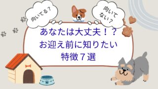 【チェック】犬を飼うのに向いていない人の特徴7つ｜後悔する前に確認