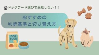 【初心者必見】ドッグフードは何を選べばいい？失敗しない基準と切り替え方法
