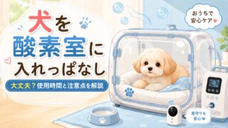【条件あり!?】酸素室に犬を入れっぱなしにする効果と基礎知識まとめ