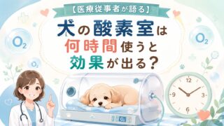 【医療従事者が語る】犬の酸素室は何時間使うと効果が出る?