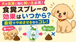 【犬の食糞に悩む飼い主必見！】食糞スプレーの効果はいつから？最短でやめさせるならコレ！