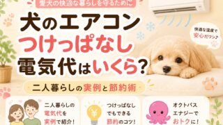 犬のエアコンつけっぱなし電気代はいくら?二人暮らしの実例と節約術