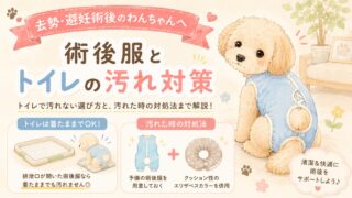 【体験談】犬の術後服、着たままトイレは汚れる?汚れなかった理由と対処法