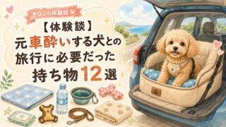【体験談】元車酔いする犬との旅行に必要だった持ち物12選
